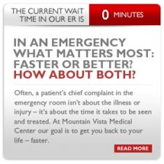 Emergency Room (ER) Wait Times and Queueing Theory