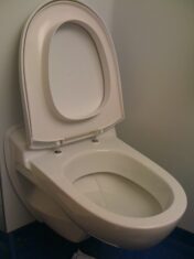 Toilet Seat Down or Up? This Poka Yoke Forces You to Put Toilet Seat Down