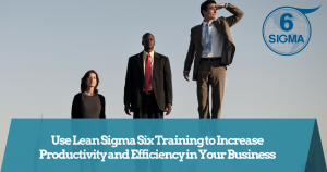 Six Sigma Training and Certification (41)