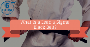 What is a Lean 6 Sigma Black Belt?