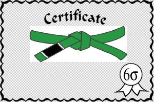 six sigma green belt certification