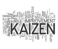 Kaizen 5S for Beginners: Shine