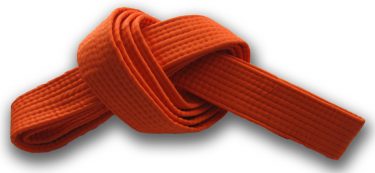 Six Sigma Orange Belt and Why You Need One