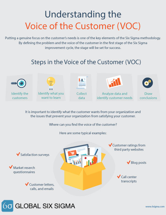 voice of the customer VOC blog