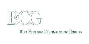 The Boston Consulting Group Inc.