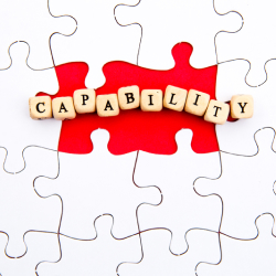 Introduction to Capability