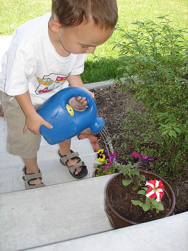 water flowers, small hands caden abilla