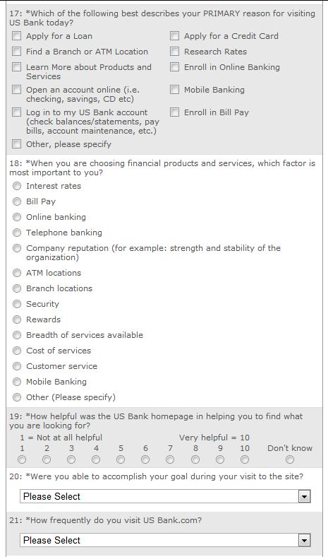 website usability survey 1